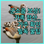 image b06cc53a