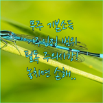image b51e357e