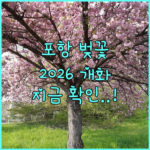 image 0004236d