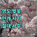 image 033c2466