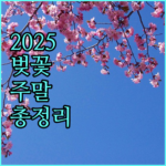 image 2424941a