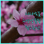 image 47320801