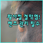 image d7f7f399