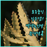 image fe146147