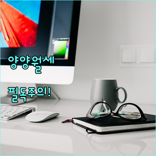 양양군 청년 월세 지원 사업 자주 묻는 질문 및 주의 사항