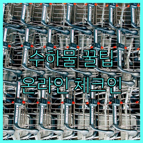 파라타항공 위탁 수하물 규정과 온라인 체크인 방법