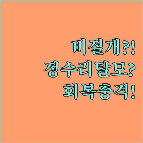 비절개 모발이식 정수리 탈모 회복 과정과 비용