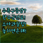 image 19cc3749