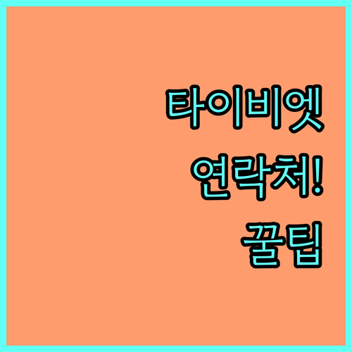 타이비엣젯항공 서울 사무소 연락처 및 연결 팁