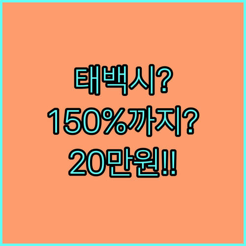 2026 태백시 청년월세지원, 중위소득 150% 이하 청년 월 20만원 지원