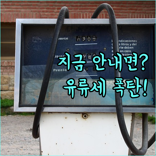 미주 노선 유류할증료 인상 전 지금 결제해야 하는 이유