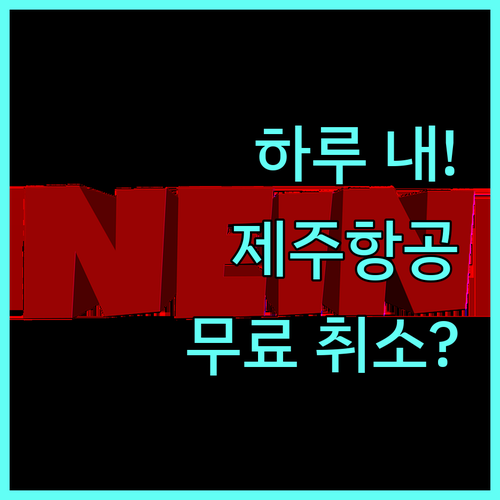 제주항공 예약 후 하루 이내 무료 취소