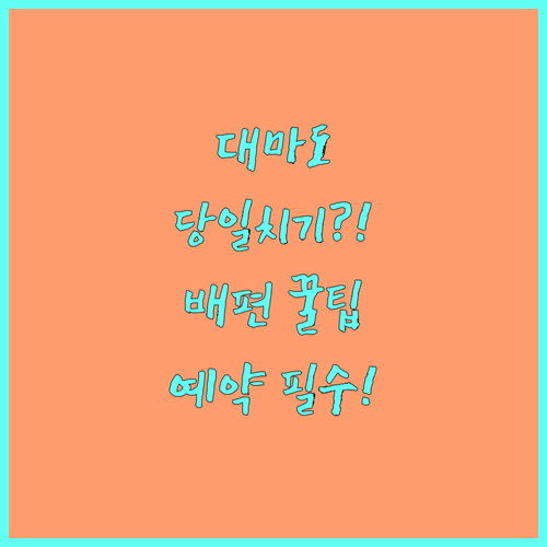 대마도 히타카츠 당일치기 배편 예약 팁