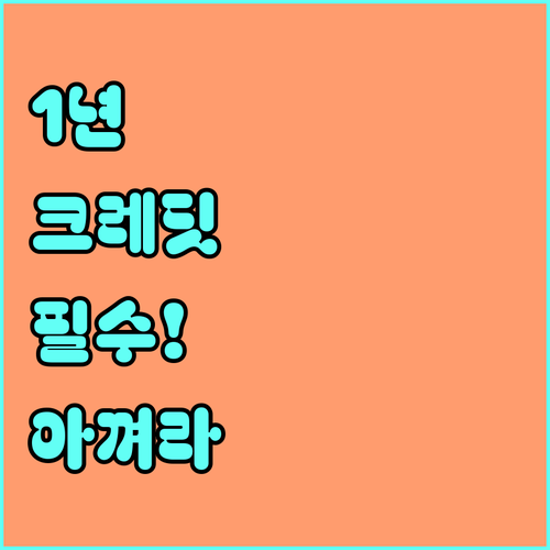 알래스카 항공 크레딧 유효기간 1년