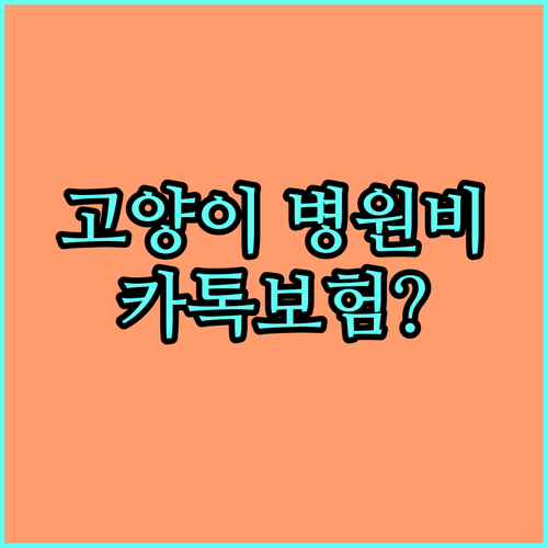 갑작스러운 고양이 병원비 걱정 카카오페이 보험으로 해결