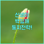image eb5a50d5