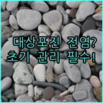image 2b82294a
