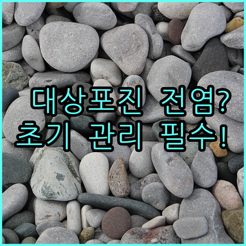 대상포진 전염성과 초기 통증 관리법 및 주의사항