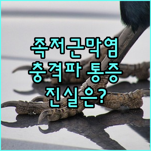 image 2e13cc6b