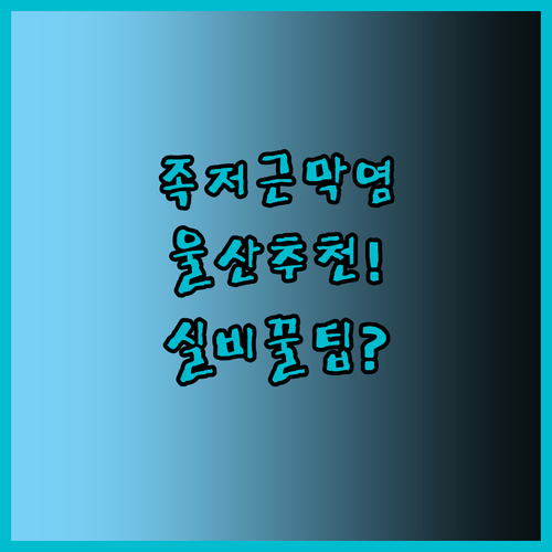 울산 남구 족저근막염 병원 추천 | 정형외과 통증의학과 비교와 체외충격파 실비