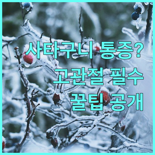 고관절 충돌증후군 증상 사타구니 통증 예방과 생활 습관