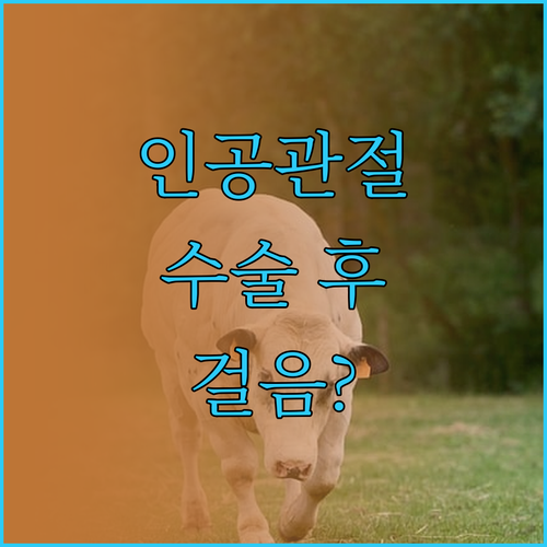 인공관절 수술 후 언제부터 걸을 수 있나요