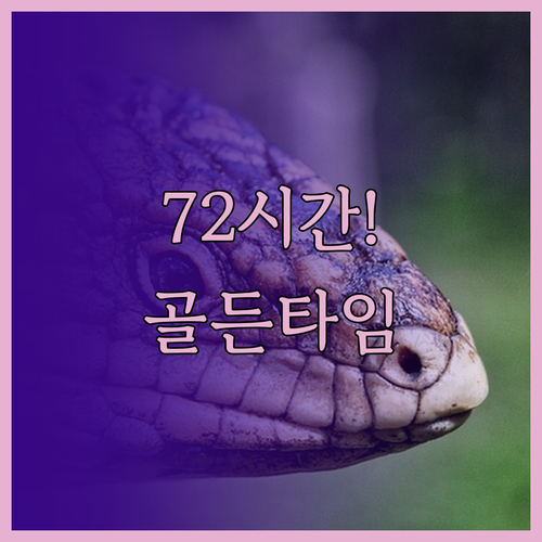 image 9946d2c2