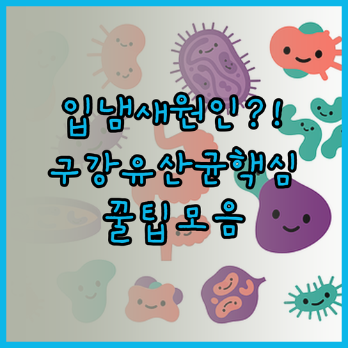 입냄새 원인 분석과 구강유산균 실제 효과
