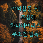 image ba85d7b7