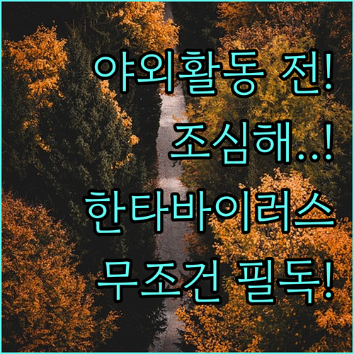 image ba85d7b7