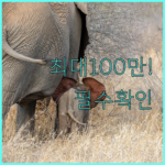 image daee62f9