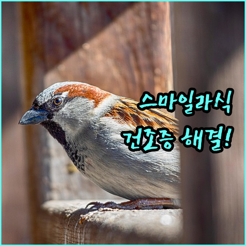 image dd3367ce