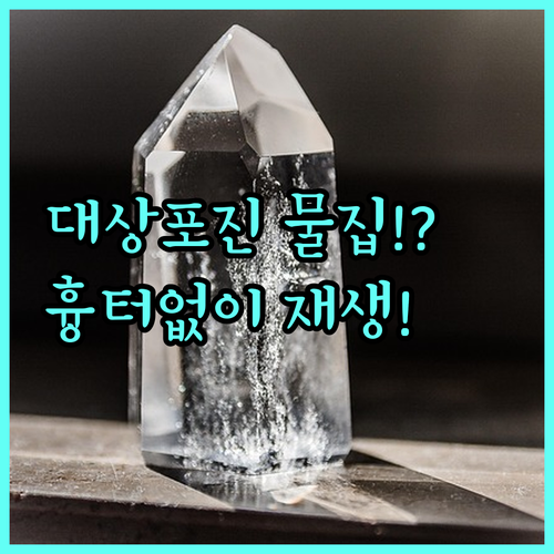 대상포진 물집 진물 날 때 대처법과 단계별 피부 재생 관리