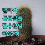 image e569e4aa