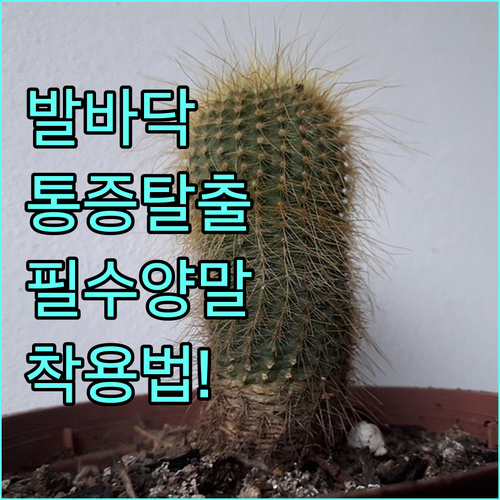 image e569e4aa