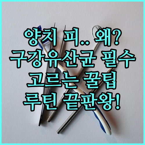 양치할 때 피 나는 이유와 구강유산균 선택법 | 효과적인 관리 루틴