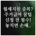 image 00012d2f