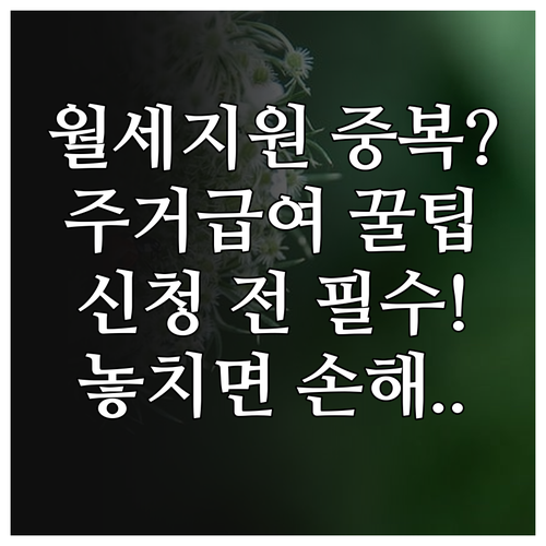 청년월세지원 주거급여 중복 여부와 신청 전 확인 사항