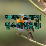 image 097b3110
