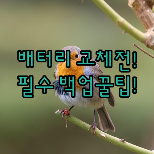 image 097b3110