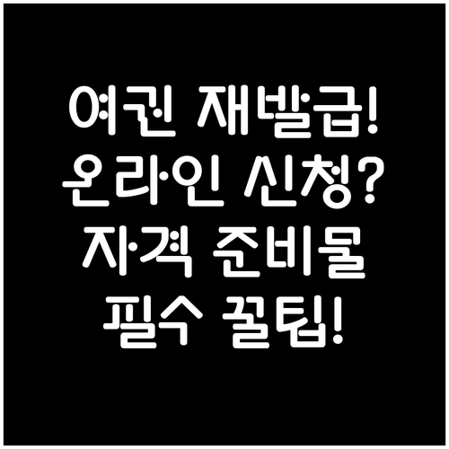 여권 온라인 재발급 신청 자격과 준비물 체크
