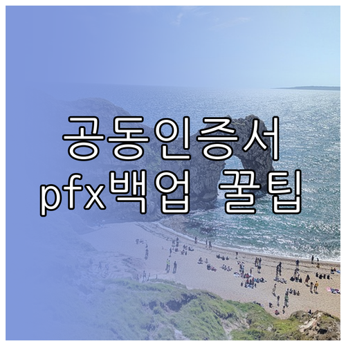 공동인증서 저장 위치부터 pfx 백업까지