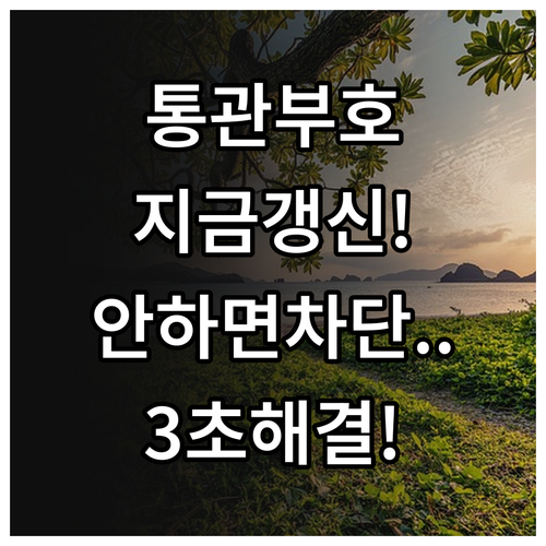 개인통관고유부호 갱신 방법과 미갱신 시 불이익 안내