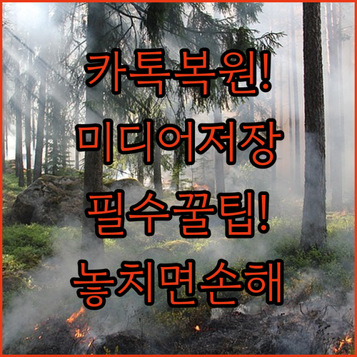 image b6222ad5