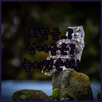 image dbaa6b52