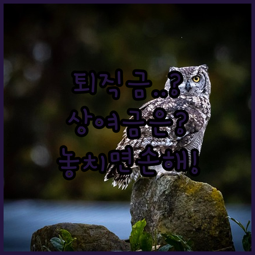 image dbaa6b52