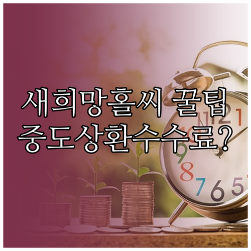 새희망홀씨 대출 일반 신용대출과 중도상환수수료 차이