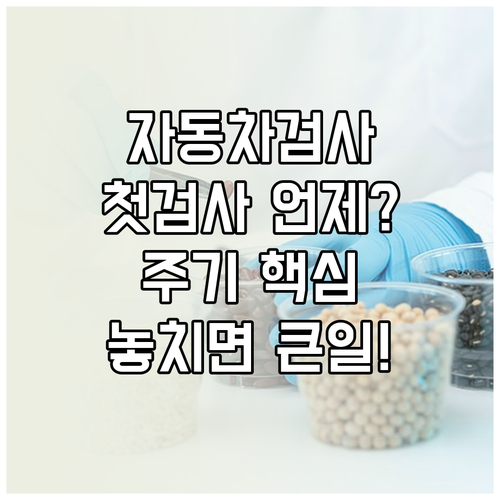 자동차검사 주기 비사업용 승용차 첫 검사 시기