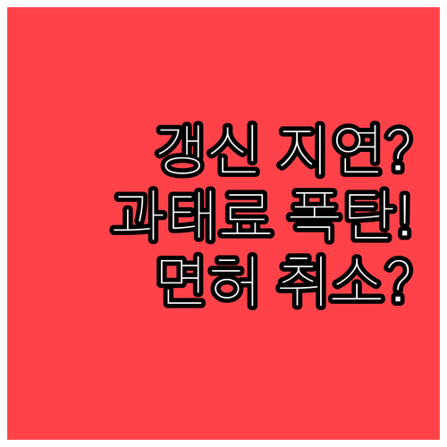 운전면허 갱신 지연 시 과태료와 면허 상태 확인