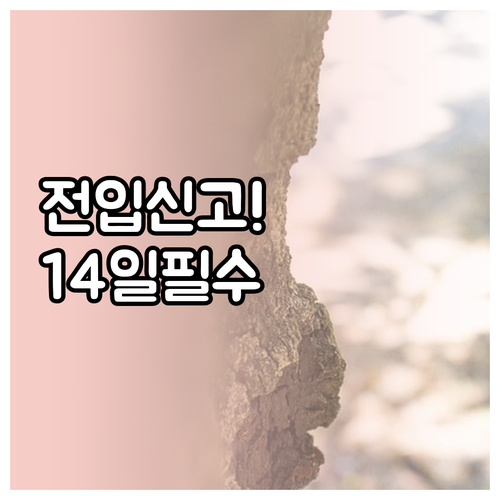 image 2dd50c4c